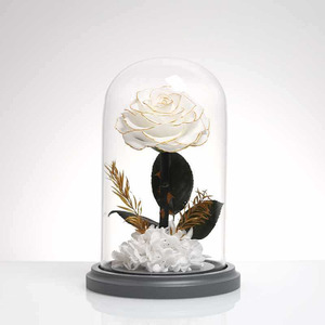 TC Distinctive Little Prince Rosa Eterna Preservata in Cupola di Vetro, Set Regalo per San Valentino, Regalo per Ragazze - Product Image 6