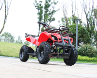 2025 nouvelle Offre Spéciale 800W-1000W électrique 4 roues ATV Smart Quad vélo pour enfants et adultes enfant jouet pour Application extérieure