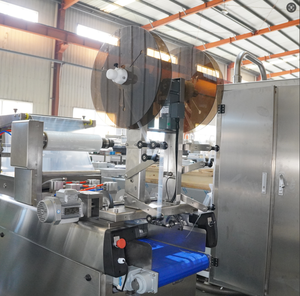 Machine d'emballage sous vide thermoformage à faible consommation d'énergie DZXL-420-350 pour l'emballage de tofu - Product Image 4