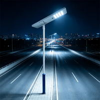 Lampadaire solaire tout-en-un 100W en aluminium moulé sous pression, étanche IP65, avec batterie LiFePO4 et lampe LED pour projets routiers municipaux