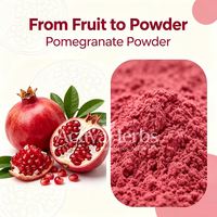 Natuurlijk granaatappelsap poeder, rode granaatappel fruitpoeder, sproeidrogen granaatappel extract voor dranken, bulk levering