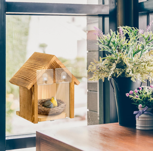 Nichoir en bois moderne et naturel pour l'intérieur et l'extérieur, avec fenêtres transparentes pour observer l'intérieur du nichoir - Product Image 6