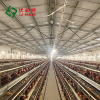 Équipement d'élevage de poulets, système de cages pour poulets de chair, système d'alimentation automatique pour poulets