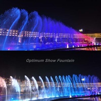 Fabricante Chino Ofrece Fuente de Agua para Jardín Exterior de Acero Inoxidable 304 de 100 m, Estilo Moderno, con Luces RGB