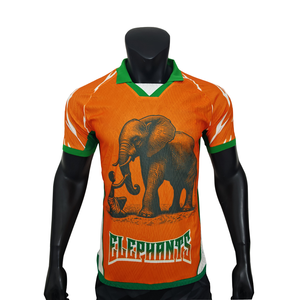 Maglia da Calcio Edizione Giocatore della Nazionale della Costa d'Avorio 2026, Fofana Adingra, Elefante Africano, Coppa d'Africa - Product Image 3