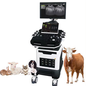 Mesin <span class=keywords><strong>Doppler</strong></span> warna cembung 4D terbaik anjing kucing hewan peliharaan pemindai <span class=keywords><strong>Ultrasound</strong></span> hewan peliharaan mobil - Product Image 5