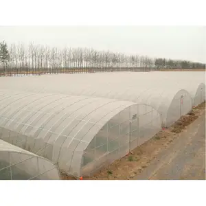hot sale small size agricultural poly tunnel greenhouse for tomatoes from seed to sale