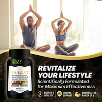 Capsules de Shilajit, Crinière de Lion et Mousse de Mer – Mélange de 3 Superaliments pour la Performance Sportive, le Soutien Cérébral et le Renforcement Immunitaire – Disponible en OEM