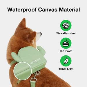 ชุดสายจูงสุนัขและแมวแบบกำหนดเอง,ชุดสายจูงสุนัขแคคตัสน่ารักสวมใส่สบาย - Product Image 3