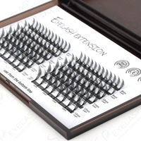 SP EYELASH Maquillage Professionnel Cluster Individuel Eye Lashes Ventilateurs Préfabriqués Soft Spire Eyelash Nouvelle Génération Série Cils