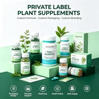 Capsules de complément alimentaire OEM/ODM Saw Palmetto-3X pour le soutien de la santé de la prostate des urinaires et des