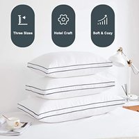 Oreiller doux en peluche de luxe avec couverture en microfibre de coton respirant pour la maison et l'hôtel Oreillers respectueux de la peau pour les détaillants