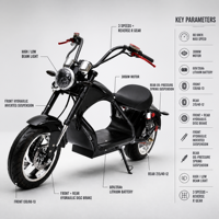 Harley électrique 3000W style Harley, batterie lithium 60V 20Ah, vente en gros