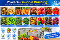 Automatische groentewasmachine voor wortelen, aardappelen, uien, pepers en voedselverwerkingsfabrieken