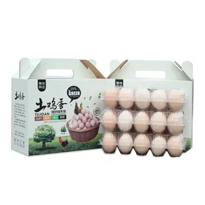 Scatola riciclabile personalizzare Logo e colore prezzo di fabbrica scatola di carta per uova ondulata con manico forza fabbrica