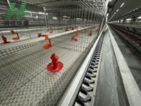 Équipement de ferme automatique pour poules pondeuses à 10000 étages