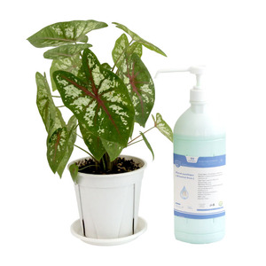 <span class=keywords><strong>ส</strong></span><span class=keywords><strong>เปร</strong></span><span class=keywords><strong>ย์</strong></span><span class=keywords><strong>ฆ่า</strong></span><span class=keywords><strong>เชื้อโรค</strong></span>ด้วยแอลกอฮอล์100<span class=keywords><strong>ฆ่า</strong></span>เชื้อด้วย<span class=keywords><strong>ส</strong></span><span class=keywords><strong>เปร</strong></span><span class=keywords><strong>ย์</strong></span> Oem ผู้ถือเจลล้างมือ75% Ml - Product Image 2