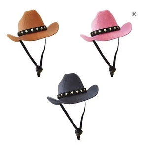 Disfraz de Sombrero de Vaquero para Perro con Correa Ajustable, Gorra de Fieltro para Gato, Divertida Decoración para Fiestas de Halloween, Accesorios para Mascotas al por Mayor - Product Image 2