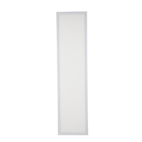 Panneau LED à éclairage périphérique 40W 300x1200mm, CCT unique, driver LIFUD DALI-2 pour projets commerciaux