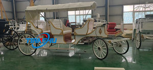 Carrozza elettrica per trasporto speciale di 2/<span class=keywords><strong>3</strong></span> fila personalizzata carrozza trainata a cavallo di nuovo stile moderna - Product Image 2