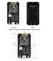 Nova Placa de Desenvolvimento BW16-Kit RTL8720DN Módulo Wi-Fi Dual-band de Baixo Consumo com Interface Tipo-C G102