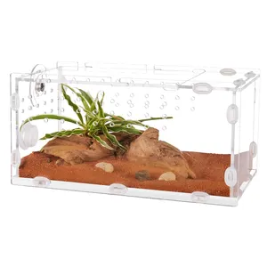 Terrario acrílico de tarántula transparente personalizado para reptiles para artrópodos, arañas e insectos