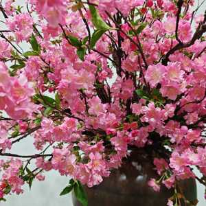 Plante artificielle en pot de fleurs de cerisier réalistes de luxe YR |   Personnalisé pour les espaces commerciaux européens/américains - Product Image 4