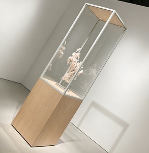 Vitrine <span class=keywords><strong>d</strong></span>'exposition de musée <span class=keywords><strong>moderne</strong></span> sur mesure, cadre en bois massif, vitrines en verre avec éclairage LED pour exposition <span class=keywords><strong>d</strong></span>'<span class=keywords><strong>art</strong></span> - Product Image 4