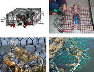 Mạ kẽm ISO9001 PVC gà Coop hàng rào CuộN Cua Tôm hùm cá bẫy PVC tráng lưới lục giác - Product Image 3