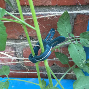 Accessoires de jardinage Clips de support de plantes en plastique Clips de plantes de tomates fonctionnant avec des piquets de <span class=keywords><strong>bambou</strong></span>, des cages à tomates, des treillis - Product Image 6
