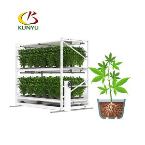 Kygreenhouse Sistema vertical hidropónico Dos estantes de cultivo Teir para cáñamo médico - Product Image 3