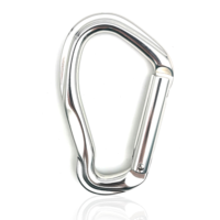 Mousqueton en aluminium 23kN traité par oxydation, léger, pour l'équipement d'escalade professionnel et la sécurité.