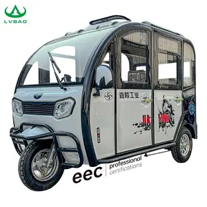 Lb-Zr5D 3 Wheels Adults Passenger Cheap Electric Tricycle Motorcycle Rickshaw Fully Enclosed Mobility Electric Scooters Moto