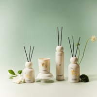 Diffuseur de roseau parfumé de style européen pour éliminer les odeurs de fumée domestique, parfum durable, série décorative