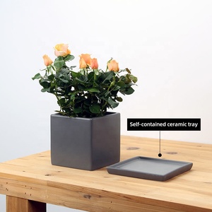 Usine personnalisée carré en céramique Pot de <span class=keywords><strong>fleur</strong></span> plateau jardin intérieur succulente planteur disponible blanc noir <span class=keywords><strong>gris</strong></span> pépinière utilisation de bureau - Product Image 2
