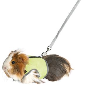 Coelho Hamster Furão Colete de animais pequenos com trela Coelho de malha arnês de peito acessórios para animais de estimação - Product Image 6