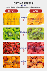 Máquina de Secado de Frutas para Negocios en Casa, Secadora de Rodajas de Mango, Equipo de Secado de Chips de Mango, Secadora de Kiwi, Fresa y Albaricoque - Product Image 5