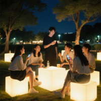 Chaise cube LED lumineuse / Location de mobilier LED lumineux rechargeable pour événements, boîte cube LED lumineuse, siège de bar, cube lumineux LED pour fête