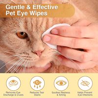 Lingettes rondes personnalisées hypoallergéniques sans alcool pour animaux de compagnie pour les yeux