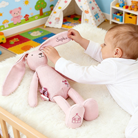 Peluche Lapin Mignon en Gros OEM, Rembourrage Coton PP Doux, Peluches Personnalisables, Cadeaux d'Anniversaire Unisexe, Sous Vide