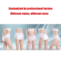 Vente en Gros 2025 Super Promo Culottes de Règles Jetables Culottes Menstruelles pour Femmes Sous-vêtements à Prix Abordable