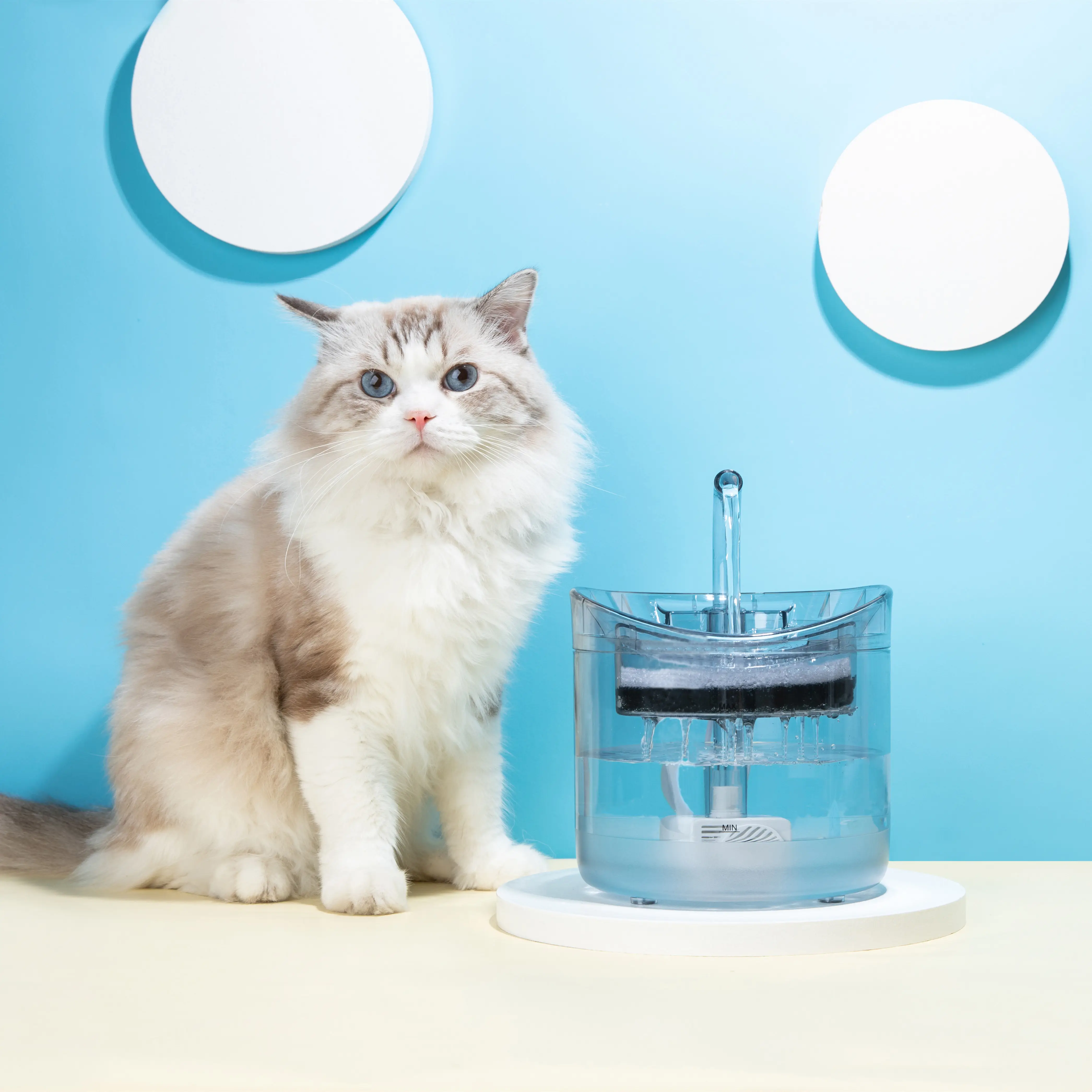 Filtro per fontana d'acqua per gatti fontanella automatica con sensore whit per mangiatoia per gatti distributore di acqua per animali domestici abbeveratoio automatico per gatti