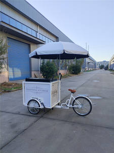 भोजन वेंडिंग ट्राइसाइकिल गर्म कुत्ते आइसक्रीम कॉफी मोबाइल बिक्री सेवा कैबिनेट लोड बाइक ट्रॉली - Product Image 5