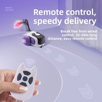 2-in-1 RC Katzenspielzeugauto mit Federstab, interaktives Kätzchenspielzeug, USB-wiederaufladbar, automatische Hindernisvermeidung, OEM-Großhandel