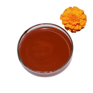 Doğal bitki özü çiçek marigold özü tozu