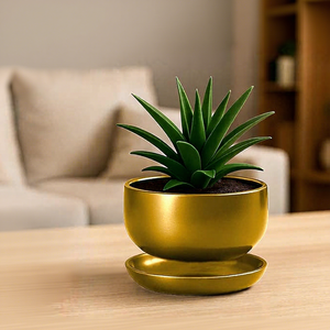 Maceta Moderna de Metal Dorado para Escritorio, Exhibición de Plantas Verdes de Interior - Product Image 2