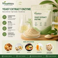 Extrait de levure pur, non-OGM, sans gluten, en poudre, pour additif alimentaire, fourni directement par l'usine