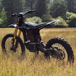 Motocicleta Todoterreno de Vanguardia Cloud Leopard Pro S de Alta Velocidad 16800W 20000W - Product Image 1