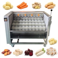 Laveuse à bulles industrielle pour pommes de terre, carottes, gingembre, oignons avec chauffage à l'ozone et grand réservoir en acier inoxydable