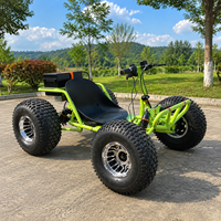 Voiture électrique tout-terrain 48V pour adultes, buggy de plage électrique avec gros pneus, kart de course tout-terrain pour aventures en montagne